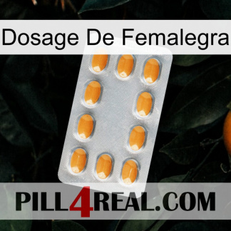 Femalegra Dosage cialis3